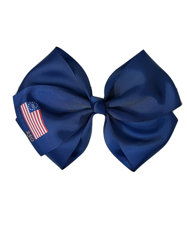 freedom 250
america 250
