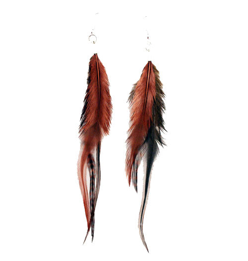 Feather Earrings - Brown
